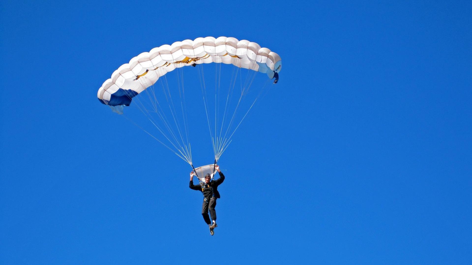 中国跳水队包揽世锦赛全部金牌 创历史最佳战绩