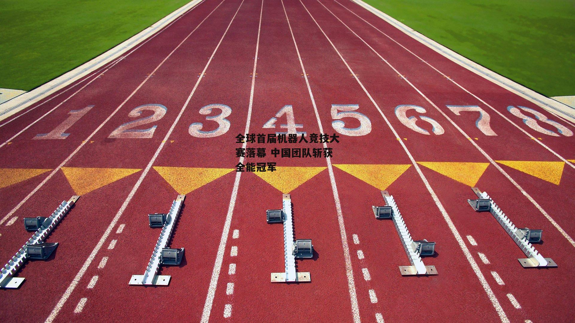 全球首届机器人竞技大赛落幕 中国团队斩获全能冠军